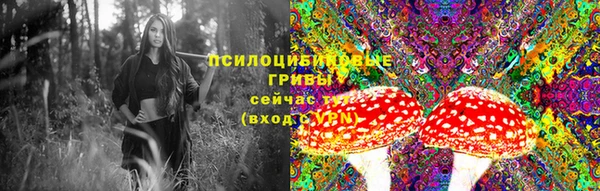 СК Верея
