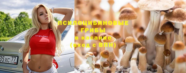 СК Верея